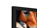 A horse is looking inside of a picture frame with a television ontop of it.