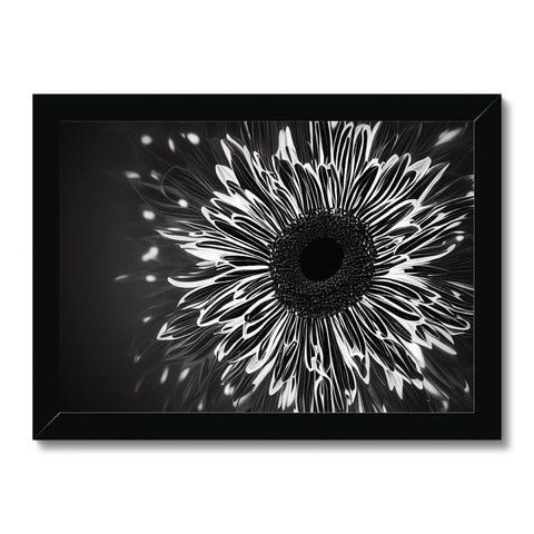 A black framed picture of a flower in a frame for art on a wall.