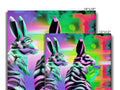 The four zebras are looking at each other and two of them are standing on