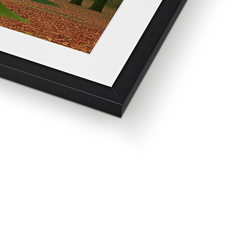 An image of a framed picture sitting in a frame above another picture of a tree in