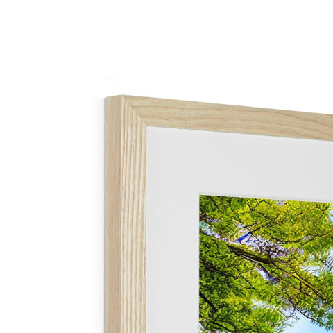 a framed photograph of a tree is hanging on a picture frame