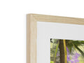A picture frame in a white picture frame on wood.