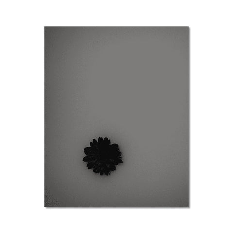 A plastic flower pinned to a white card in a dark room.