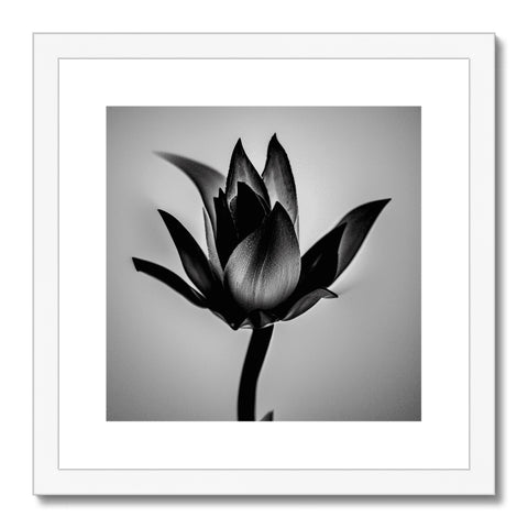 A small lily and black, framed photograph of flowers.