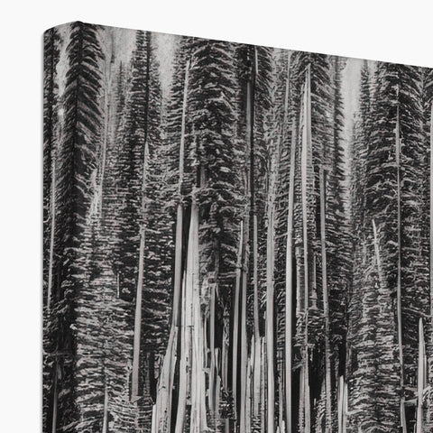 A black and white photo of pine trees with wood napped on top of a pillow