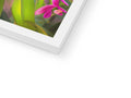 a white photo frame of a photo frame with some colorful and colorful plants inside
