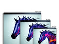 Two horses riding on monitors on a living room wall in front of two sets of large