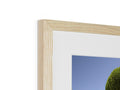 A picture frame with a framed picture of a tree upside down on the top of it