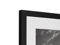 A white picture is framed in a picture frame with a large view of a tree.