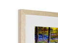 An image is printed on a frame with a picture of a tree in a wooden frame