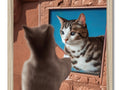 A framed picture of a cat is seen sitting on a mirror on a living room wall