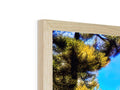 a picture frame with a picture of a woman in an apartment hanging from a tree and