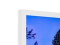 An  imac display window inside a photo frame  with small trees and a picture