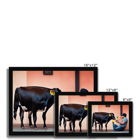An adult cow standing in front of a TV with three monitors covering it.