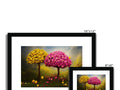 three black and white images on a colorful picture frame with a flower.