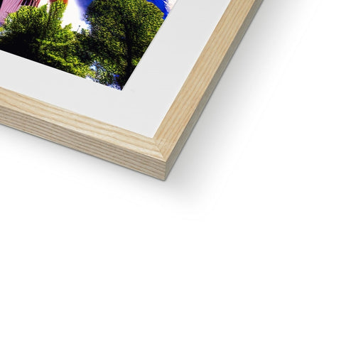 A photo of a beautiful green tree stands on top of a photograph frame.