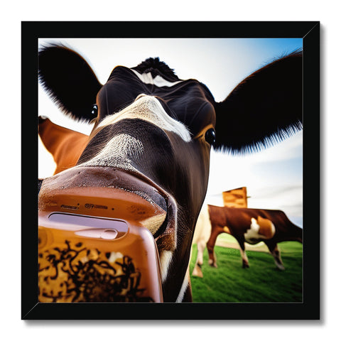 A cow is looking at a camera that has her face close to the camera.