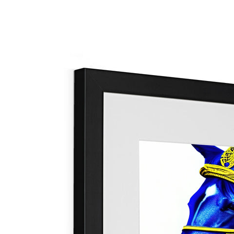 The insignias of the Navy is displayed on several different types of frames