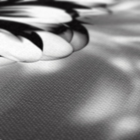Black and white picture of a table covered with white table cloth with a feather and flowers