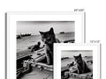 Two photograph frames with a boat and a cat sitting in front of them in a boat