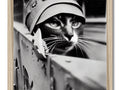 A cat posing under the cover of a tank with a wooden shelf.