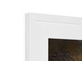 A close view of a white picture frame that has images of two paintings.