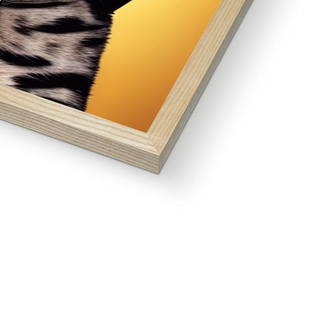 A picture of a zebra laying near a hard cover of a book.