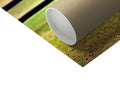 A brown paper roll is stored in a toilet next to a filter.