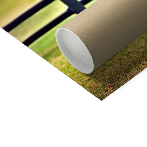 A brown paper roll is stored in a toilet next to a filter.