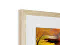 A wooden frame set with photos of a couple of trees in a house.