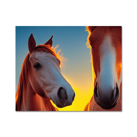 A horse and a horse are standing side by side looking at a horse.