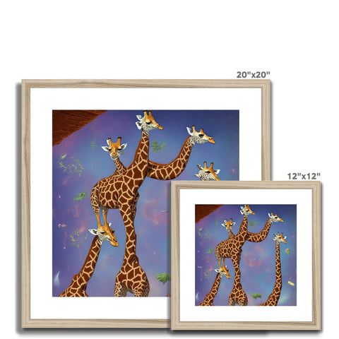 Several giraffes standing at a tree looking at a photo frame.