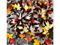 A blanket that is covered in many leaves and is covered with other foliage of different colors