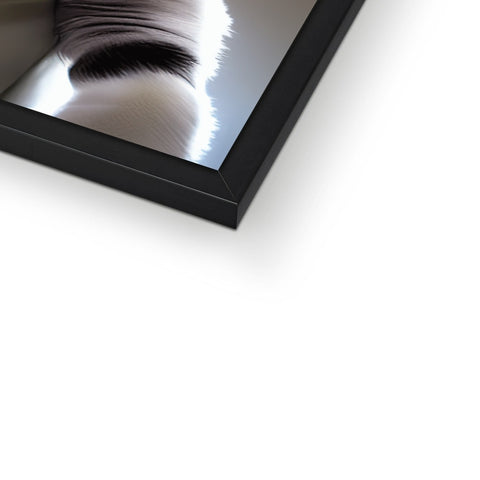 A picture of a black cat sitting in a mirror near a photo frame on a wall