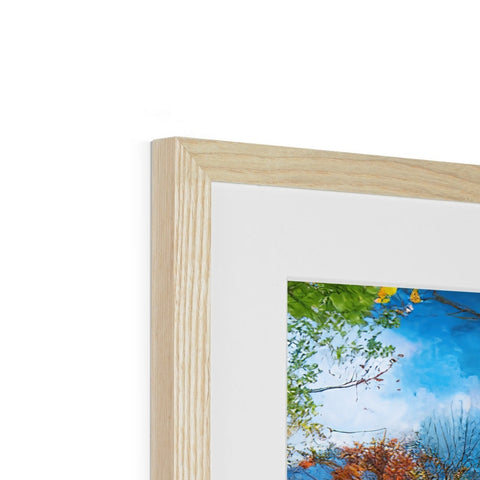 A picture of a tree on top of a picture frame in a frame with a photo