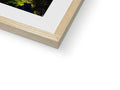 A softcover photo of a picture frame of a wood frame that is framed in wood