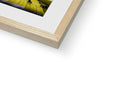 An image of a white background in a framed book.