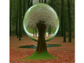 An image of a large round mirror and a green tree outside.