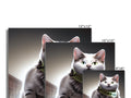 Four different cat pictures are printed on white sheets of paper on a small computer monitor.