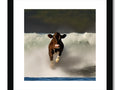 a cow surrounded by white water with her leg out for a drink and hat in one