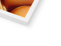 A hardcover book with a picture of an orange covered closeup of an apple.