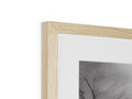 A wooden framed photograph sits in a frame with a tree and a tree.