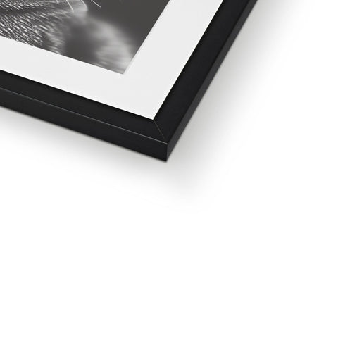 Three photos in a picture frame holding a large photo on a black and white shelf.