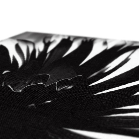 A feather on a black tablecloth covered with paper.