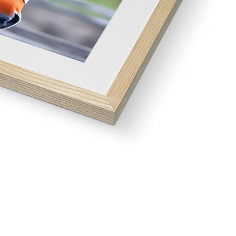 a picture of a picture behind a white bird on a wooden frame