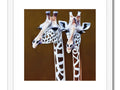 two giraffes kissing and looking at each other in a picture on