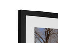 A photo of a picture frame with a framed picture of a tree in the background.