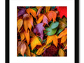 Fall foliage with some colorful leaves is being shown in an art print.