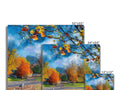 A white placemats with three images of autumn trees and a person.