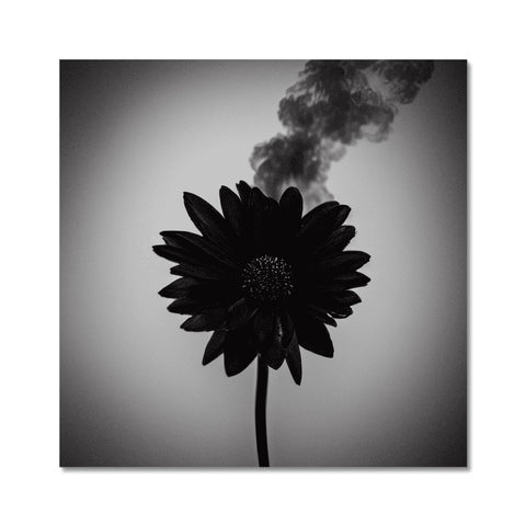 Black and white picture of a flower with a cloud of smoke flowing in the background.